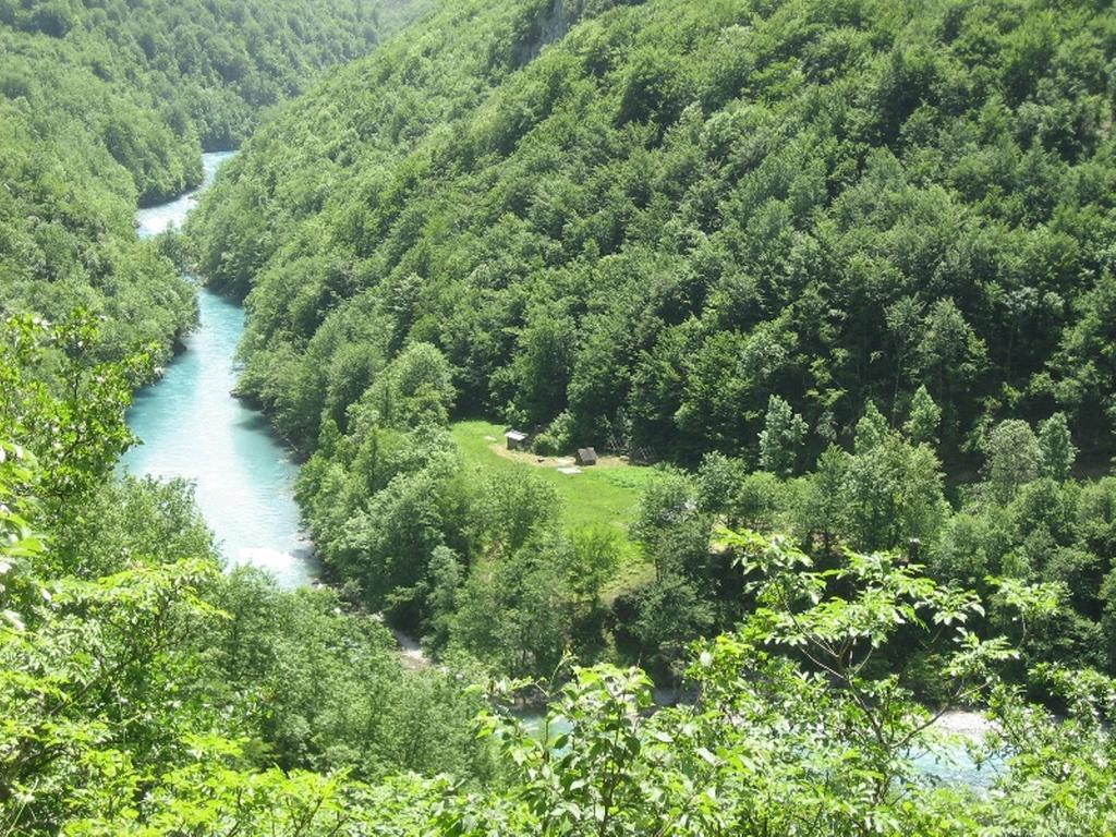 Tara Bridge Castle Hotel Žabljak Kamer foto
